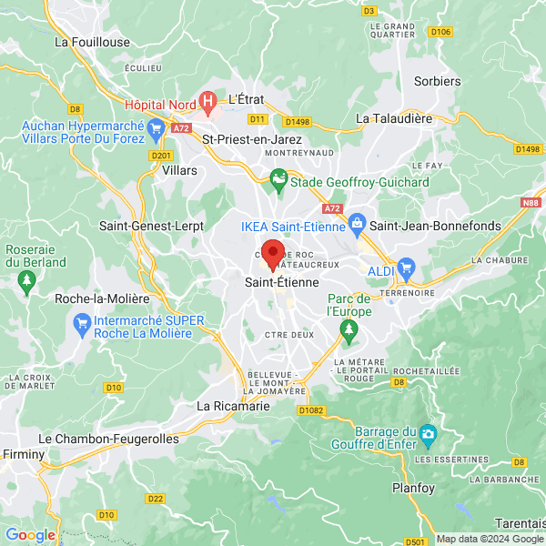 google map