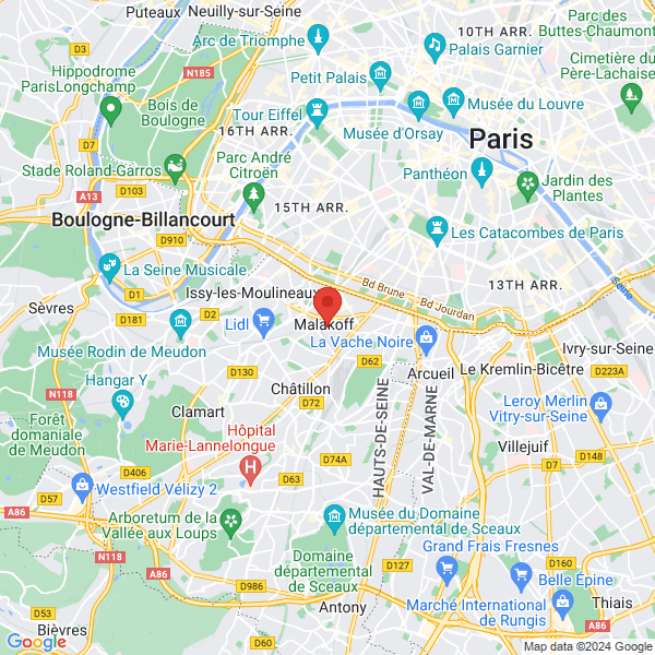 google map