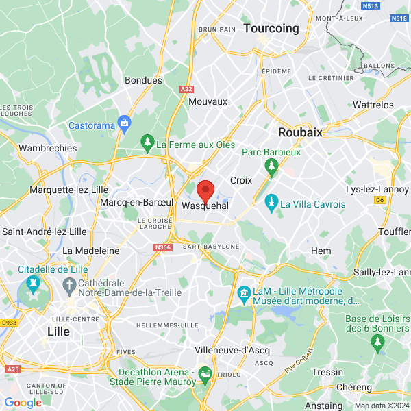 google map