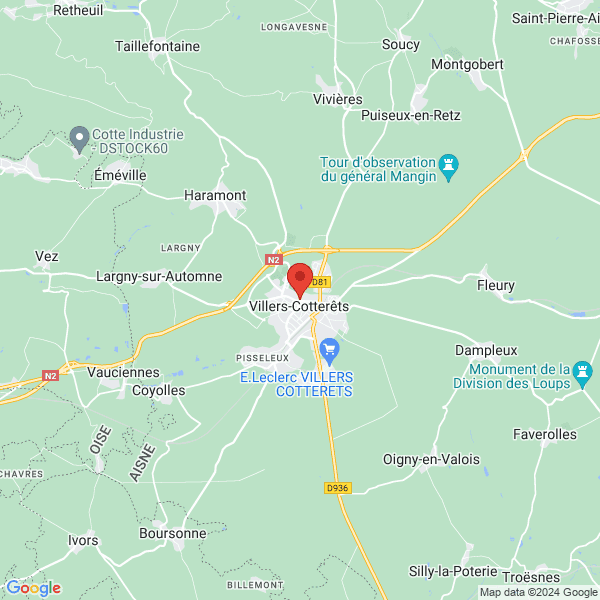 google map