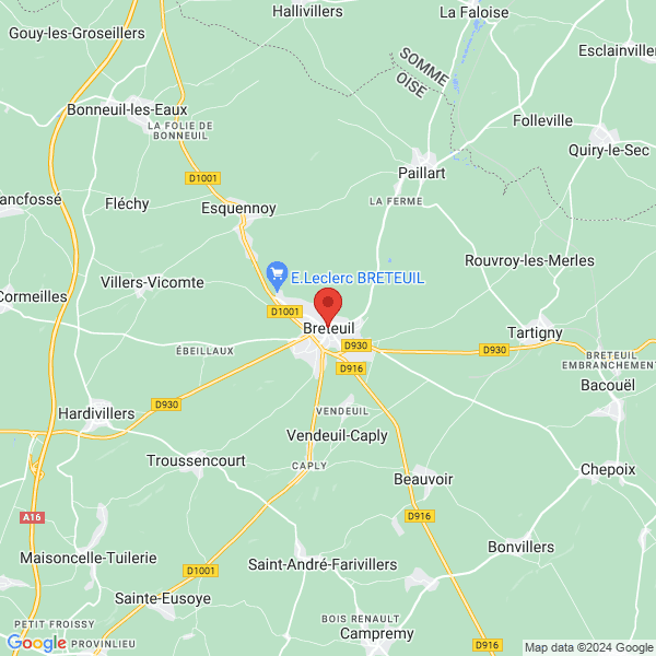 google map