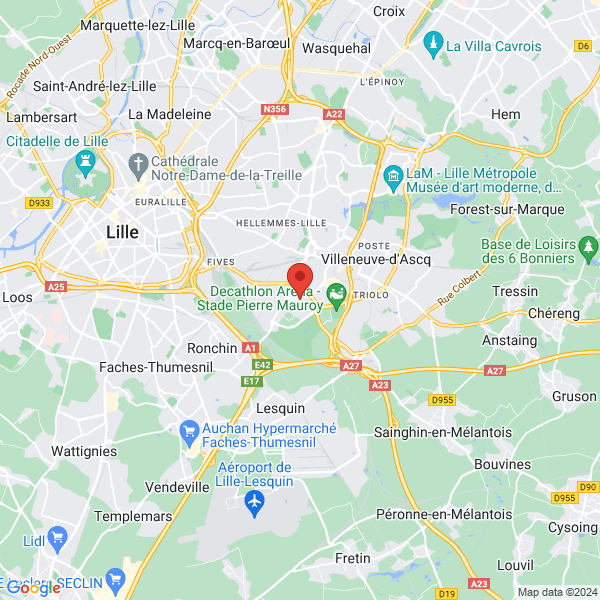 google map