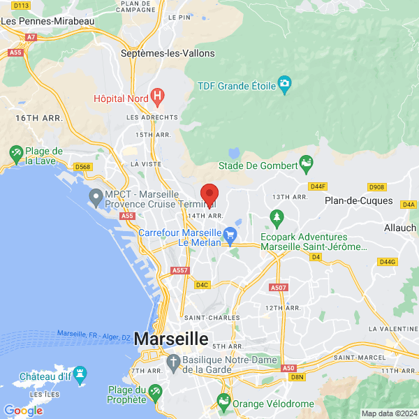 google map