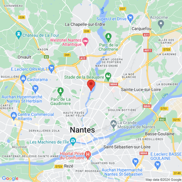 google map