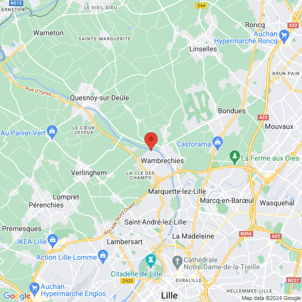 google map