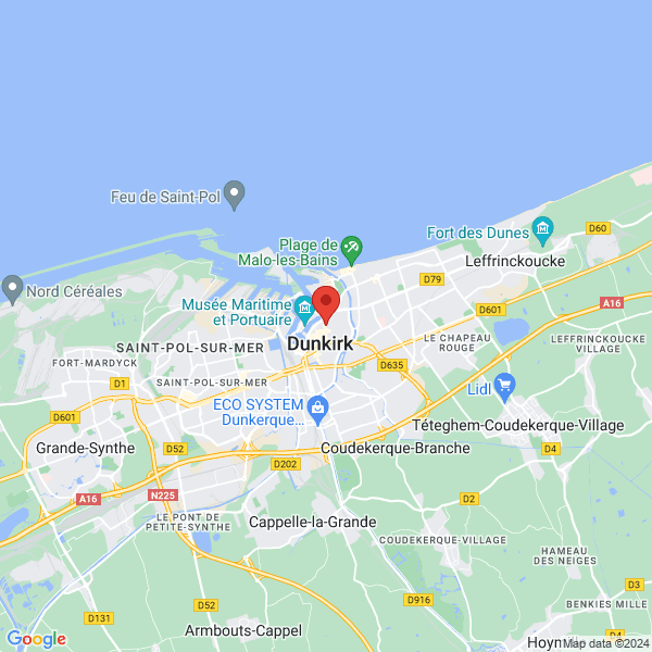 google map