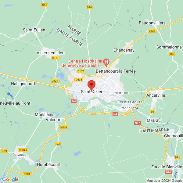 google map