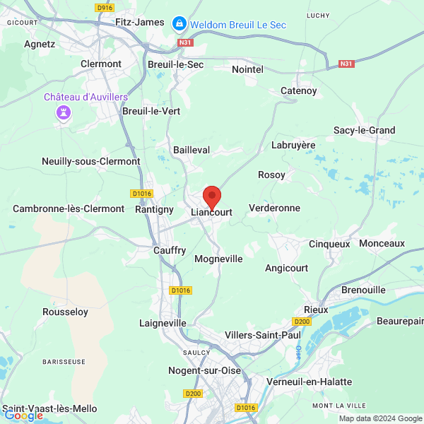 google map