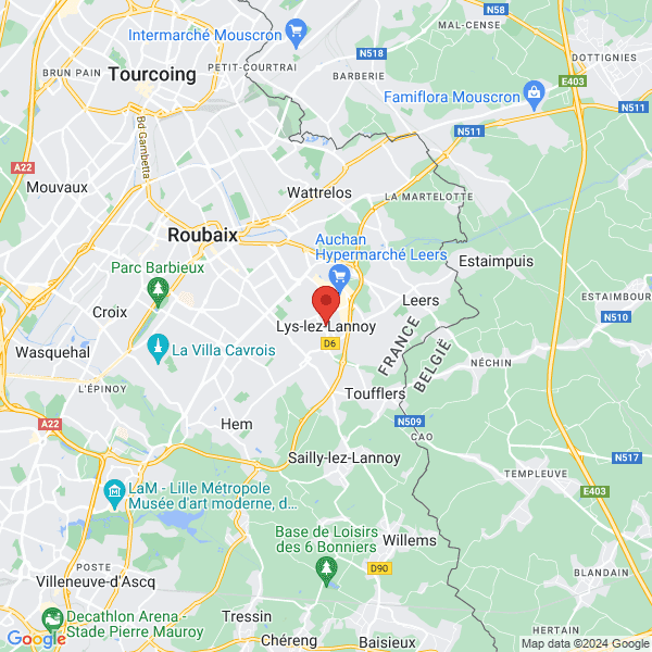 google map