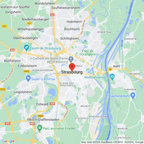 google map