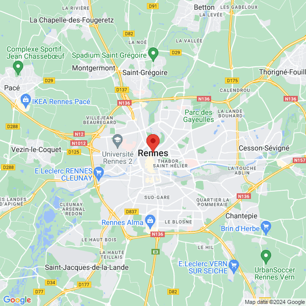 google map