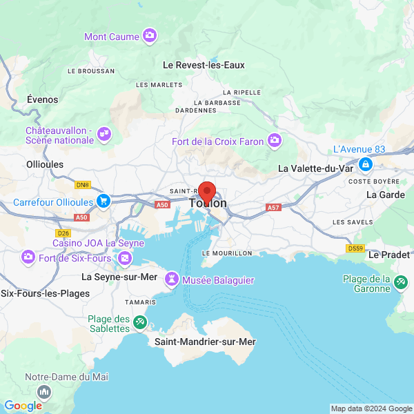 google map