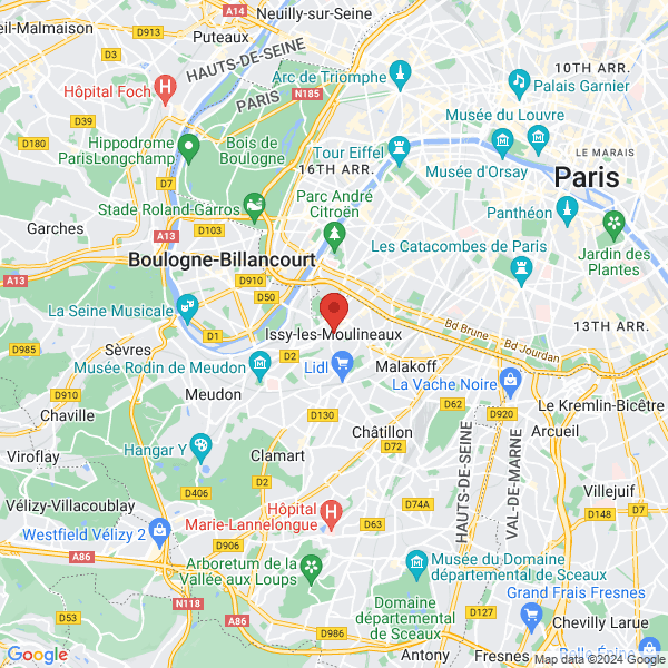 google map