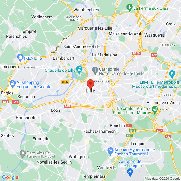 google map