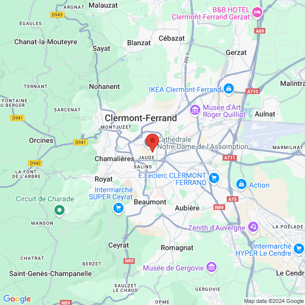 google map