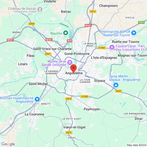 google map