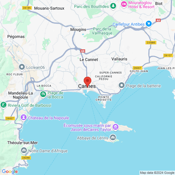 google map