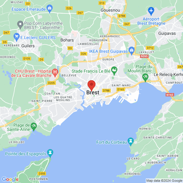 google map