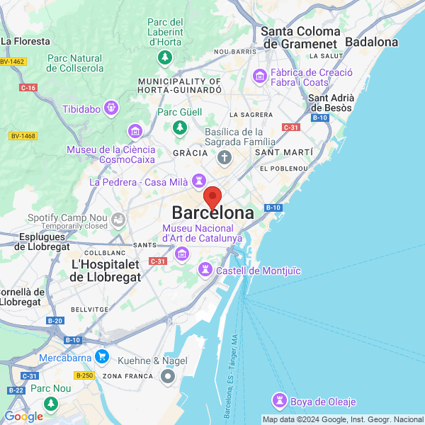 google map