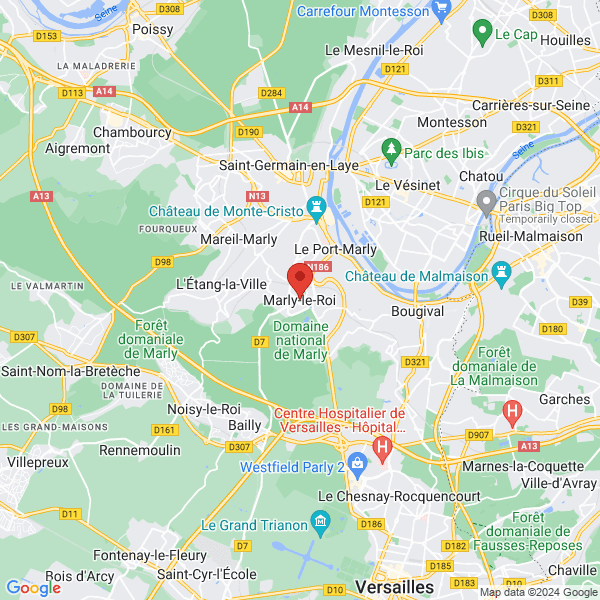 google map