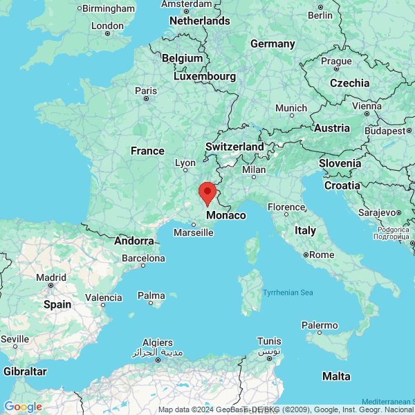 google map