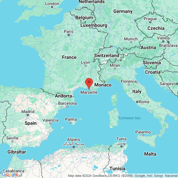 google map