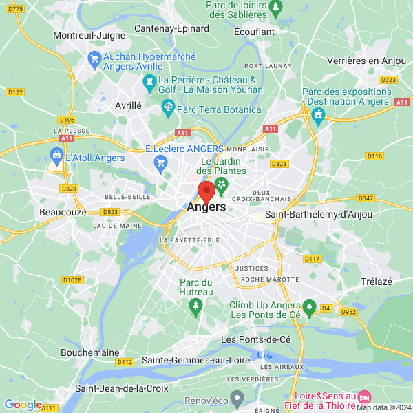google map