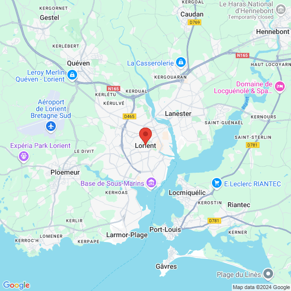 google map