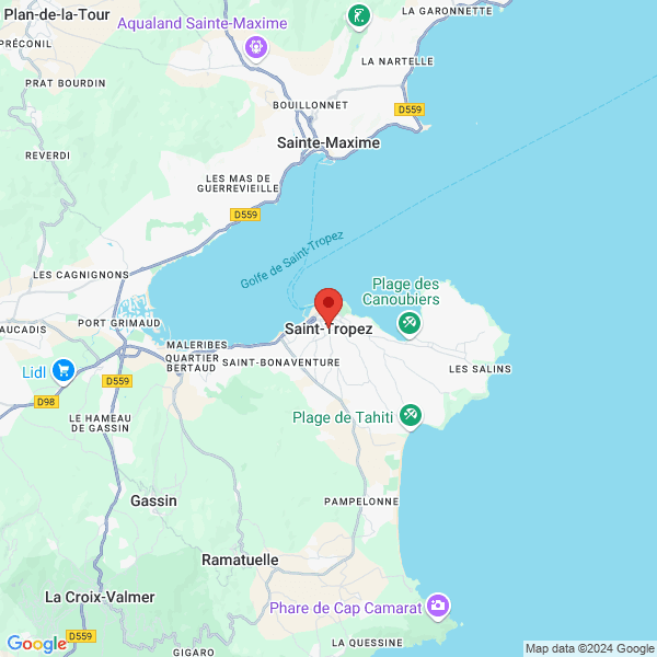 google map