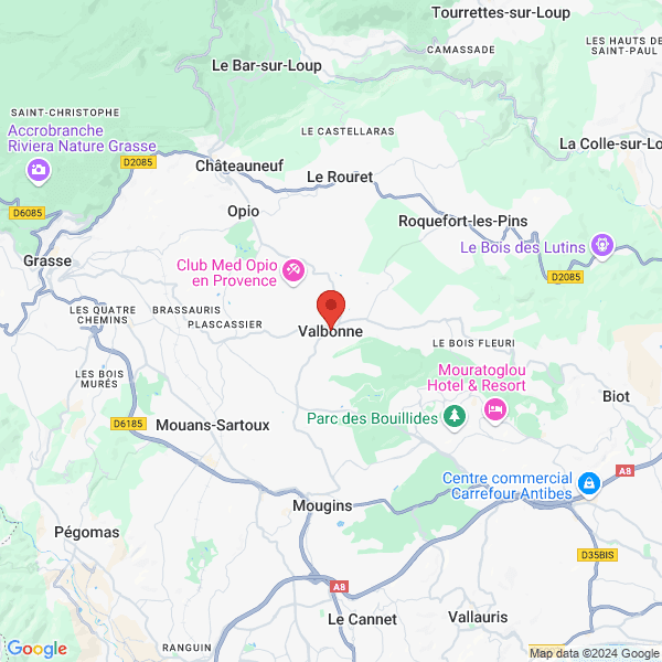 google map