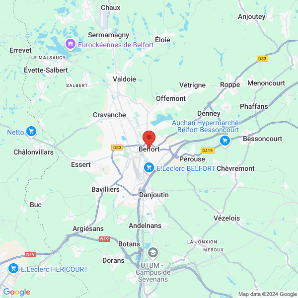 google map