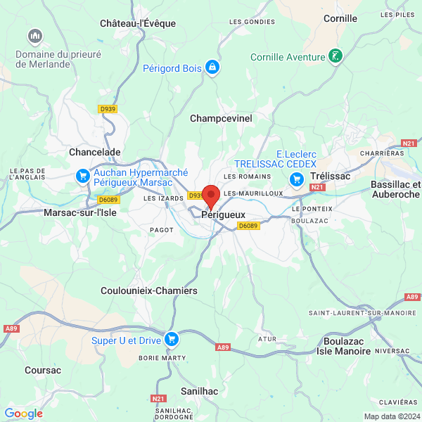 google map