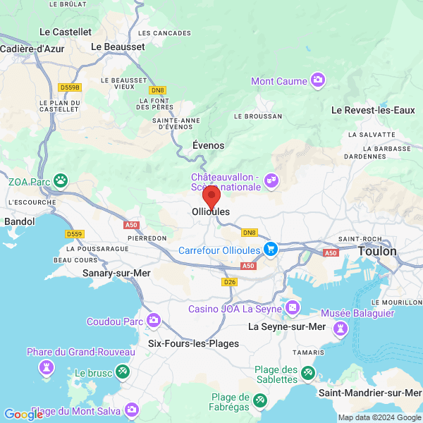 google map