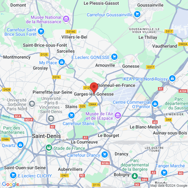 google map