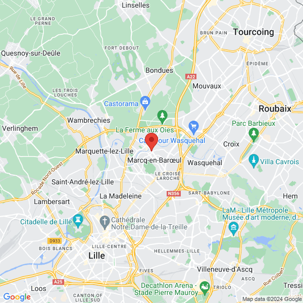 google map