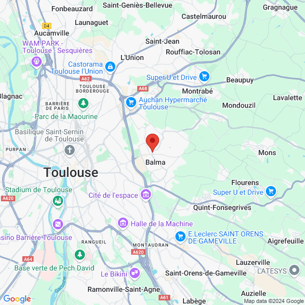 google map