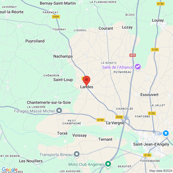 google map