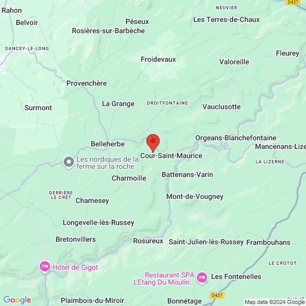 google map