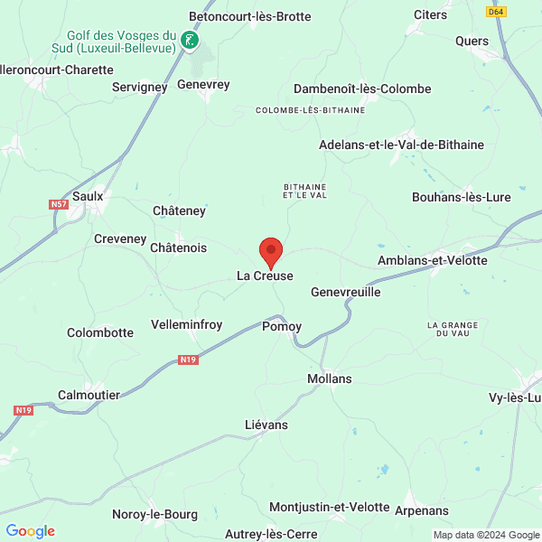 google map
