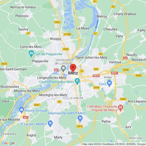 google map